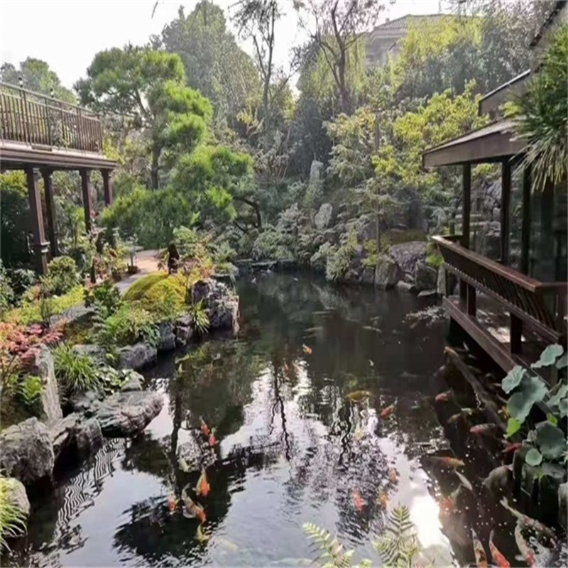 太原小庭院假山鱼池